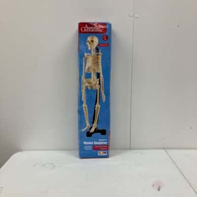 Australian Geographic Miniature Model Skeleton 