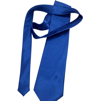 Noble Mens Silk Tie Blue 