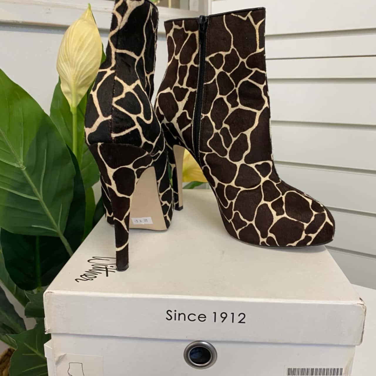 zebra print ankle boots
