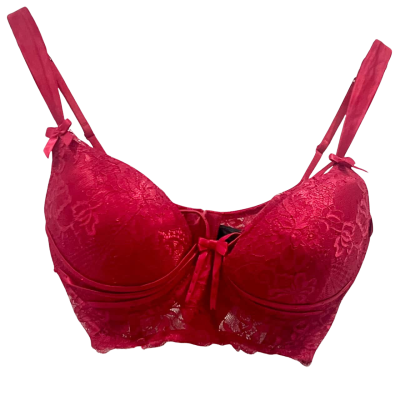 Honey Birdette “Madam” Red Lacey Bra Size 10E