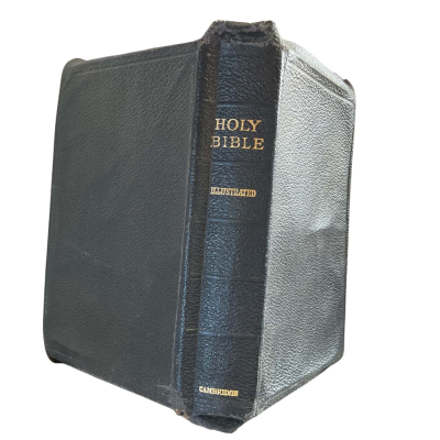 Vintage KJV Bible Ruby Illustrated Amethyst 24mo Print and Leather Cover