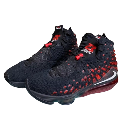 Nike Lebron Mens Size 11