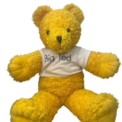 2004 Big Ted Playschool 45cm Plush 