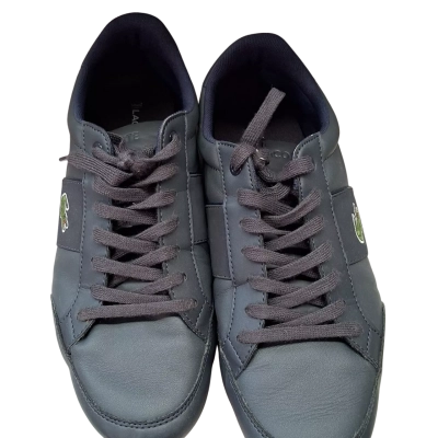 Lacoste Mens Size 7 Blue Shoes