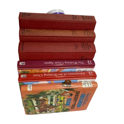 Enid Blyton Book Bundle(6)