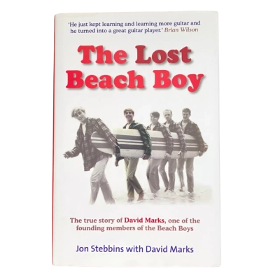 The Lost Beach Boy by Job Stebbins with David Marks
