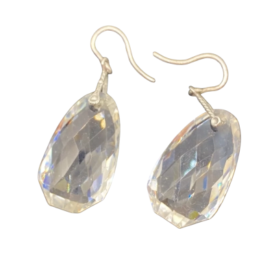  Women’s Earrings Other / Silver 