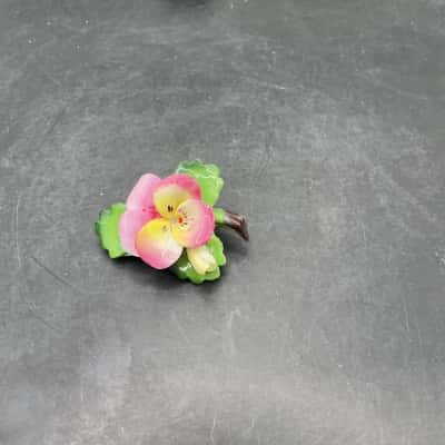  Womens Brooch Cara China Staffordshire 