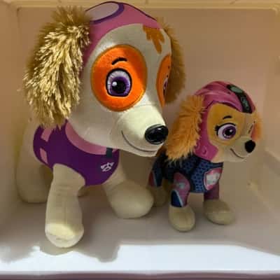Paw Patrol Skye Toys - Set of 2