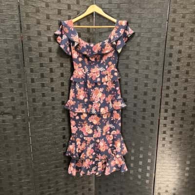 Pasduchas Womens  Size 8 Midi Dress Blue / Pink  