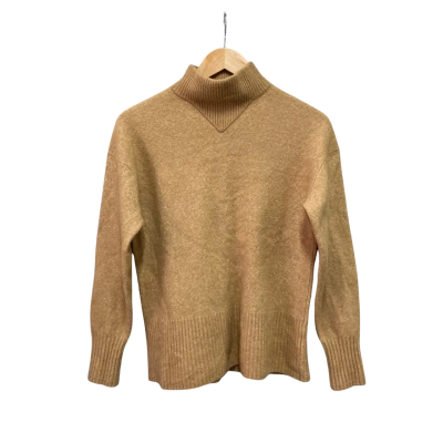 Everlane Womens  Size XS Turtleneck Jumper Brown 