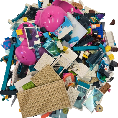 Bag 1 Random 1 kg Lego