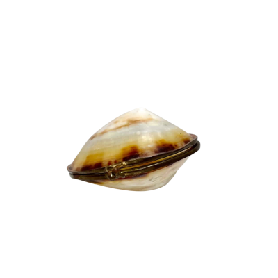 Vintage Unique Handmade Iridescent Shell Snuff Trinket Pill Box