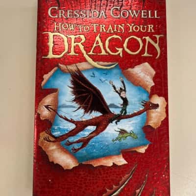 How to Train your Dragon