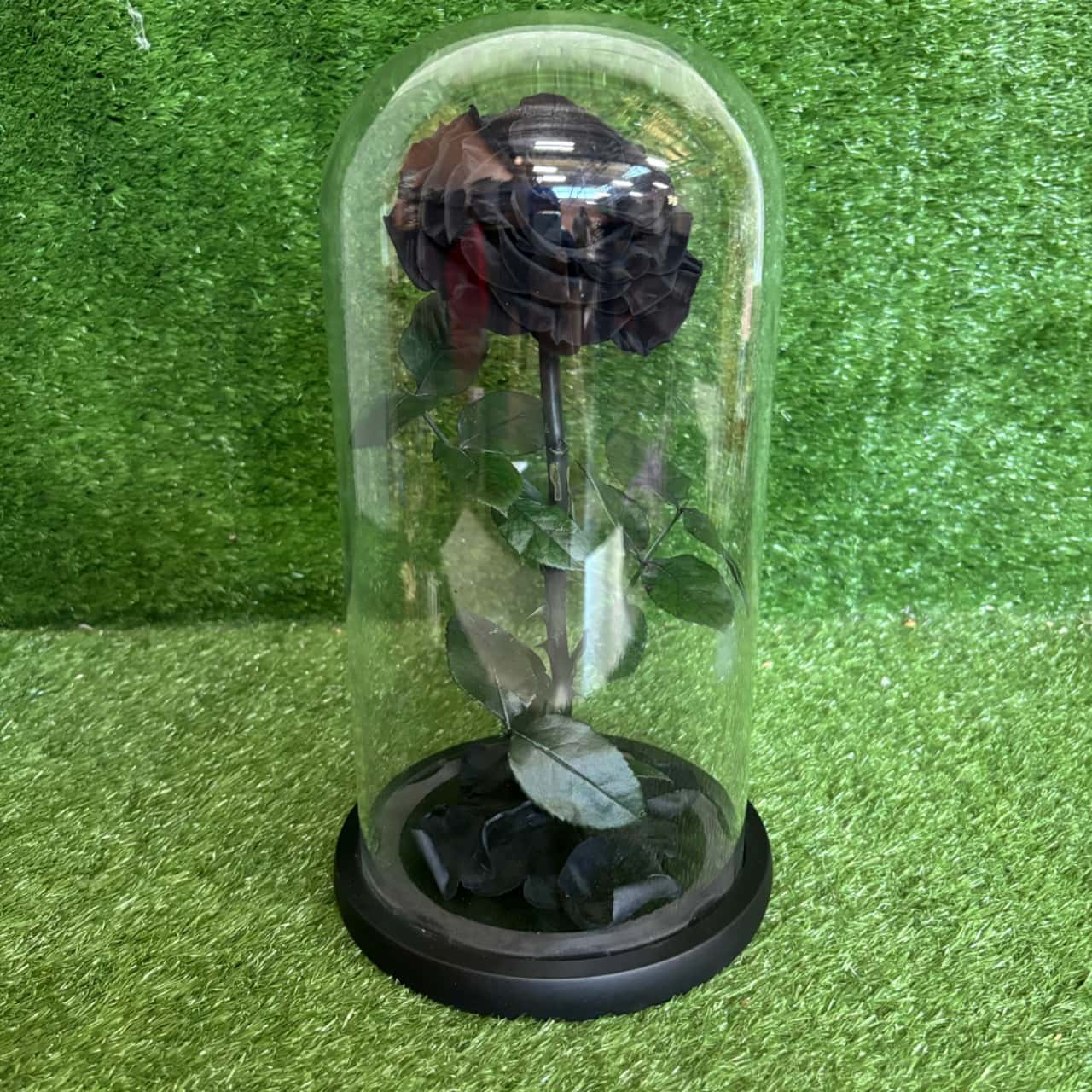 Every Love Preserved Flower In Dome (Boxed)