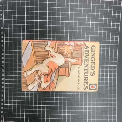 Gingers Adventures Book 