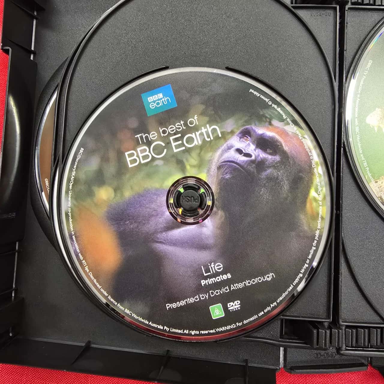 Image Tester