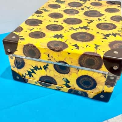 Vintage Globlite Sunflower Design Carry Case 