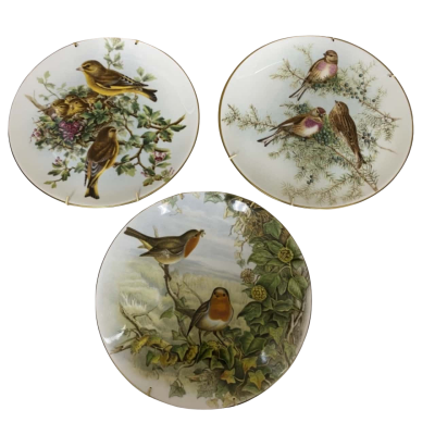 3 x John Gould Birds of Great Britain Collector Plates