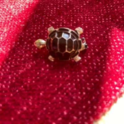  Womens Brooch turtle 