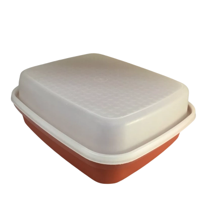 Tupperware Meat Marinater Container