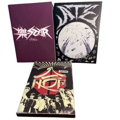 Bundle of Stray kids books and CD'S 