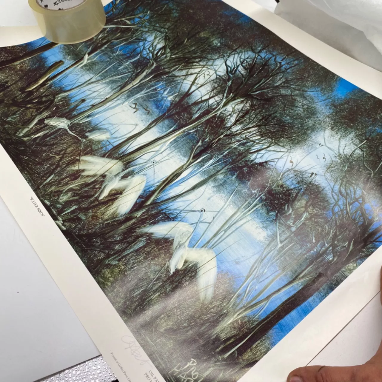 Image Tester