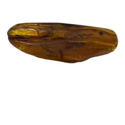  Amber Womens Brooch 