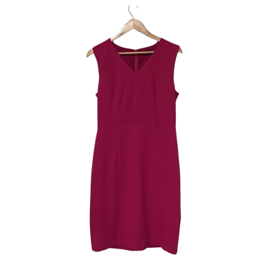 Jacqui E BNWT Size 10 Pink Crimson Dress
