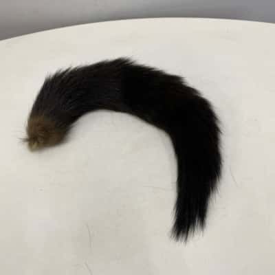 Taxidermy Soft Fluffy Tail - 35cm