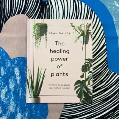 The Healing Power Of Plants ‘The Hero Plants That Will Love You Back’