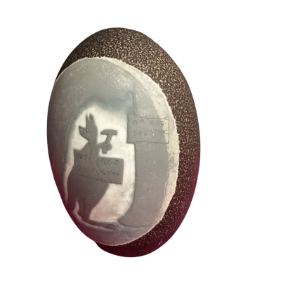 Traditional Australian Carved Emu Egg
