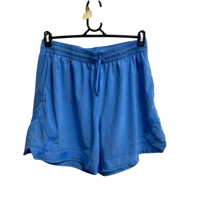 Jordan Mens  Size XL Shorts Blue 