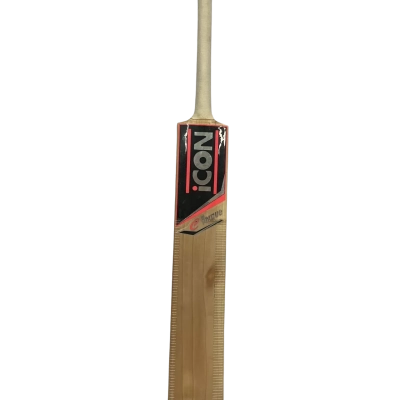 Icon E Torque Cricket Bat