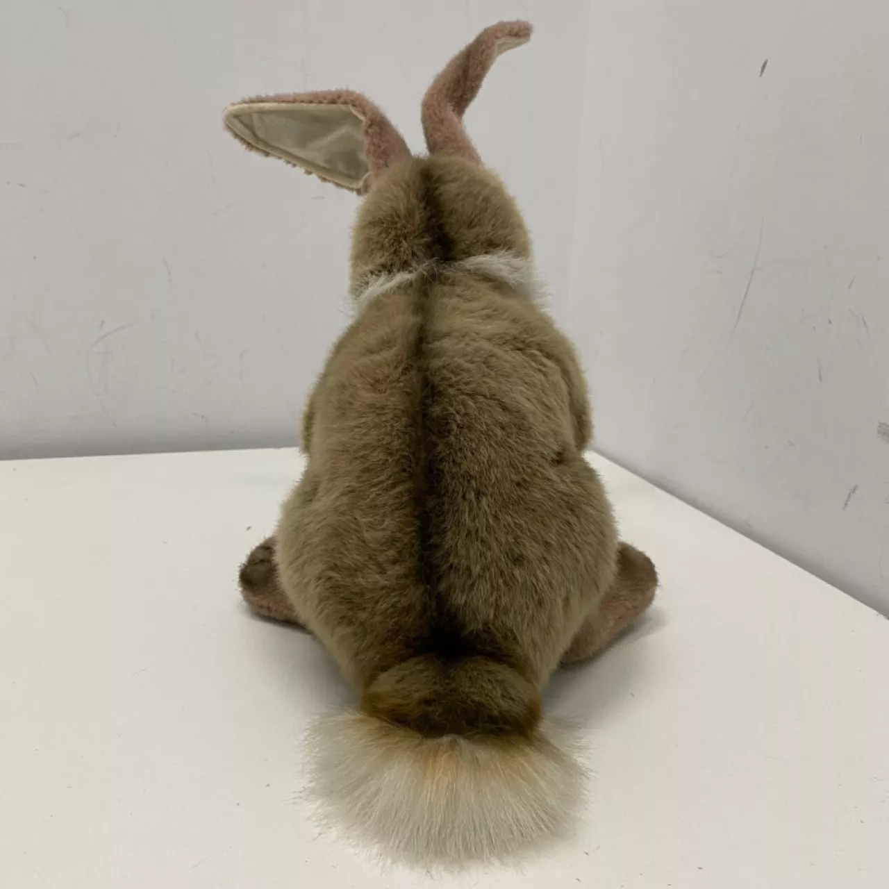 Toy Jack Rabbit Plush Realistic Jack Rabbit Plush Toy(s)