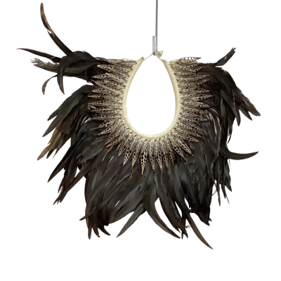 Papuan Sea Shell Feather Tribal Necklace Wall Hainging