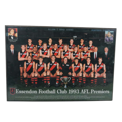 Essendon FC 1993 Premiers Wall Art Plaque 