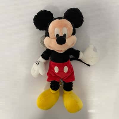 Disney Theme Parks Souvenir - Mickey & Minnie Mouse 