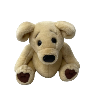 Teddy Bear David Stassman