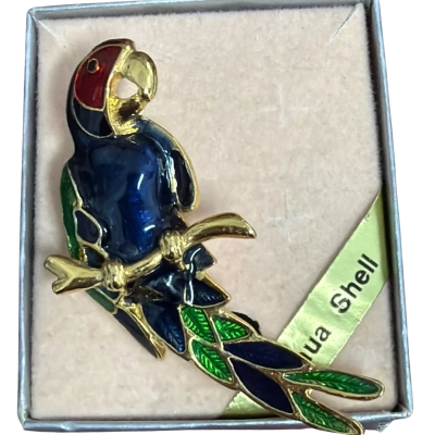 Parrot paua shell Brooch 