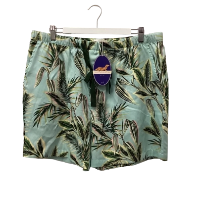 PeterAlexander Mens  Size XL Multicoloured Shorts