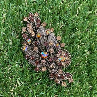  Womens Autumnal Colours Bushel Brooch