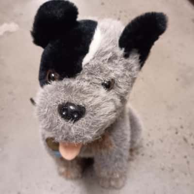 The Christopher Collection - Blue Heeler Dog Plush
