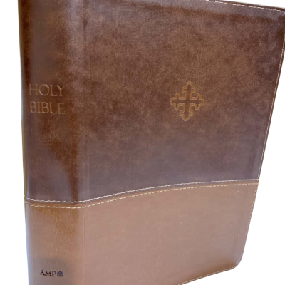 Holly Bible -brown leather-16.5 cm x 24.5 cm