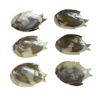 Set of 6 Carved Fish Shaped Abalone Shell Serving Dishes