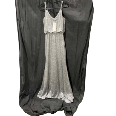 Forcast Boutique Womens  Size 6 Maxi Dress Silver 