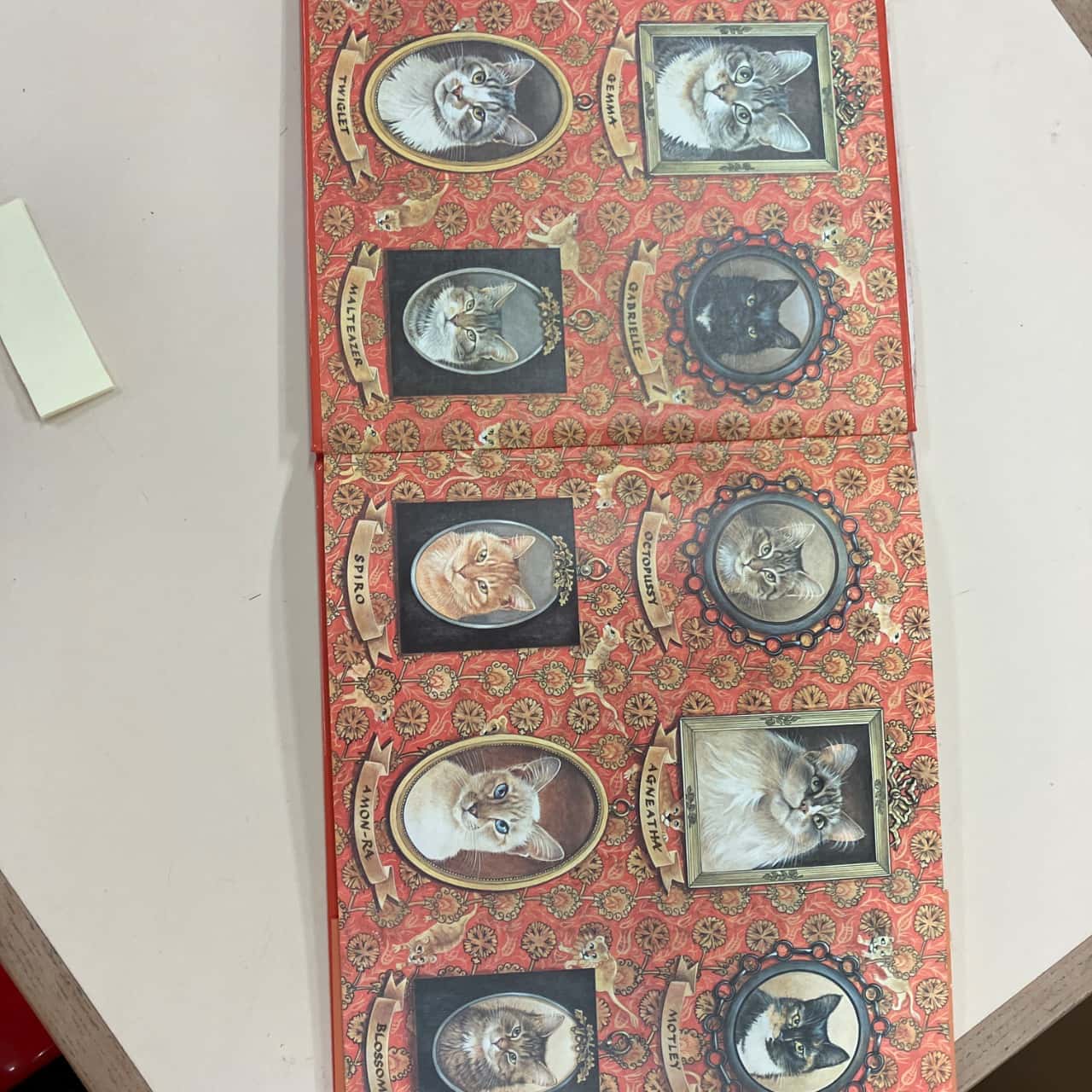 Image Tester