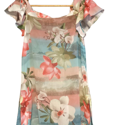 Ted Baker dress   Size S Blue / Cream / Floral / Green / Pink  