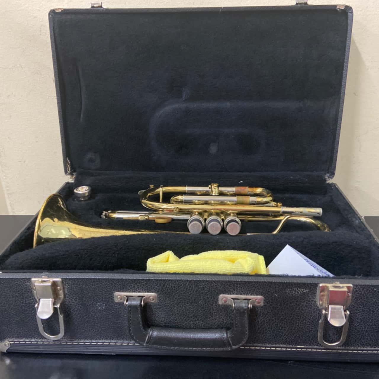Trumpet & Carry Case (s)