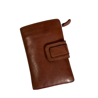 Evity leather Unisex Wallet Brown 